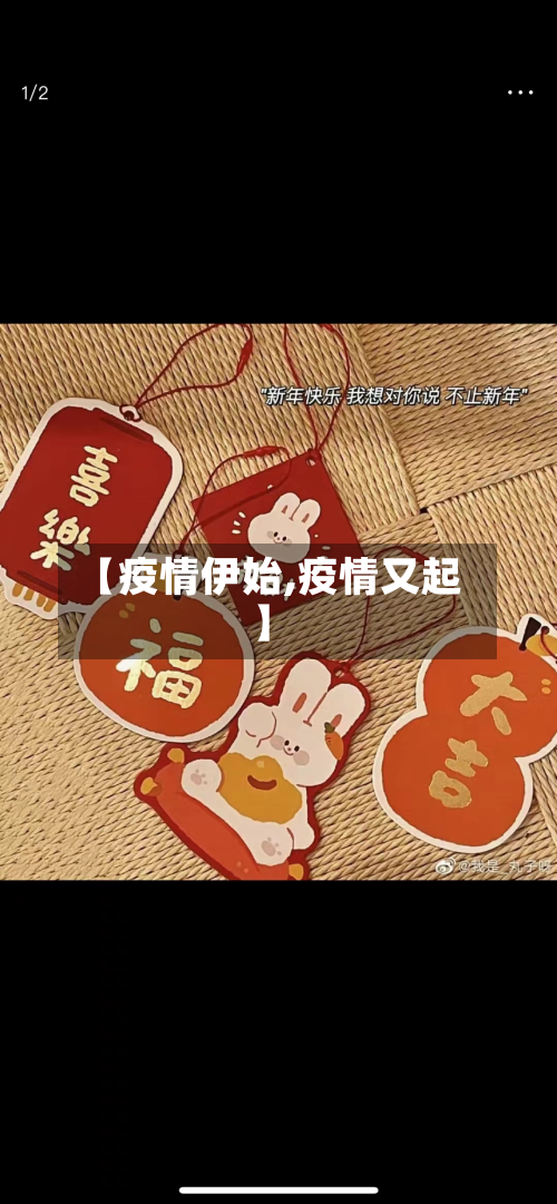 【疫情伊始,疫情又起】-第3张图片