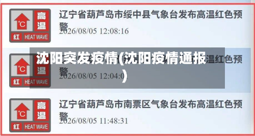 沈阳突发疫情(沈阳疫情通报)-第2张图片