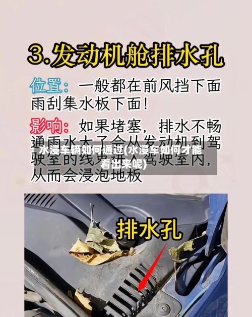 水浸车辆如何通过(水浸车如何才能看出来呢)