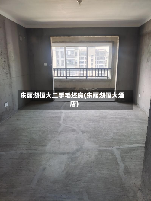 东丽湖恒大二手毛坯房(东丽湖恒大酒店)-第3张图片