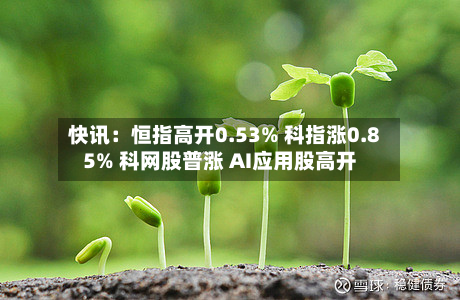 快讯:恒指高开0.53% 科指涨0.85% 科网股普涨 AI应用股高开-第1张图片