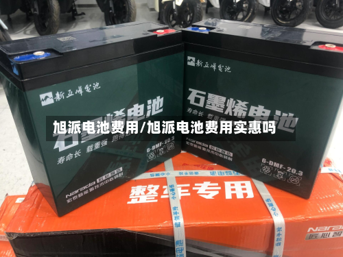 旭派电池费用/旭派电池费用实惠吗-第3张图片