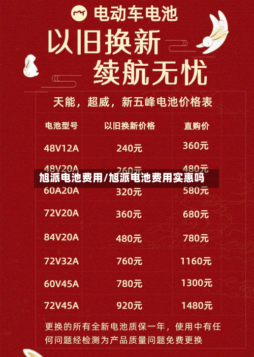 旭派电池费用/旭派电池费用实惠吗-第2张图片
