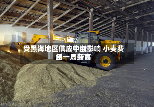 受黑海地区供应中断影响 小麦费用创一周新高