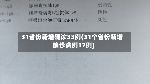 31省份新增确诊33例(31个省份新增确诊病例17例)-第2张图片