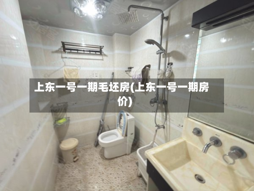 上东一号一期毛坯房(上东一号一期房价)-第3张图片