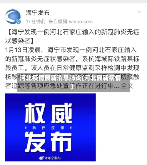 河北疫情最新消息肺炎(河北最新病情)-第3张图片