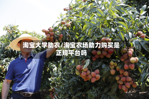 淘宝大学助农/淘宝农场助力购买是正规平台吗