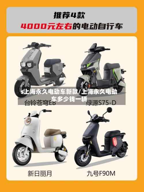 s上海永久电动车新款/上海永久电动车多少钱一辆-第2张图片