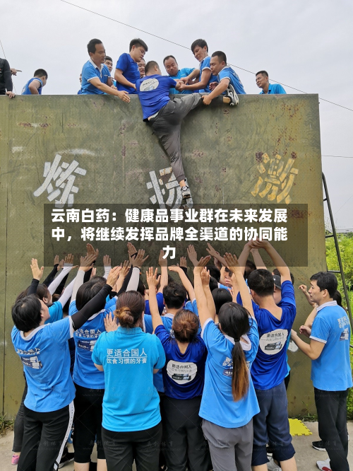 云南白药：健康品事业群在未来发展中，将继续发挥品牌全渠道的协同能力-第1张图片