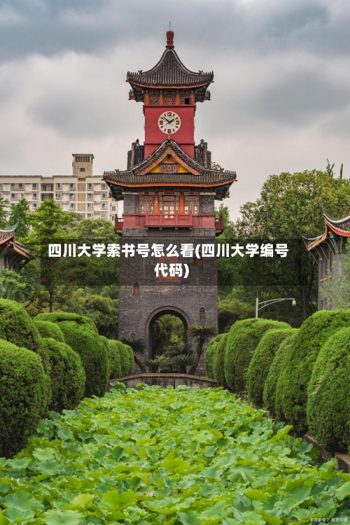 四川大学索书号怎么看(四川大学编号代码)