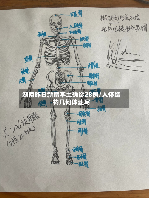 湖南昨日新增本土确诊28例/人体结构几何体速写
