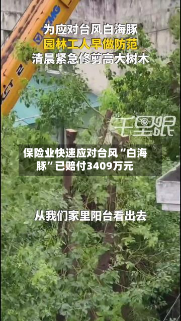 保险业快速应对台风“白海豚”已赔付3409万元-第2张图片