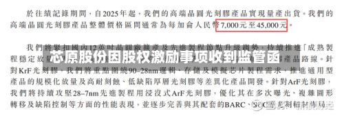 芯原股份因股权激励事项收到监管函