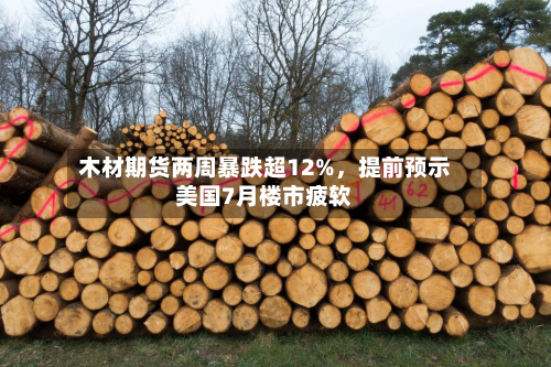 木材期货两周暴跌超12%，提前预示美国7月楼市疲软