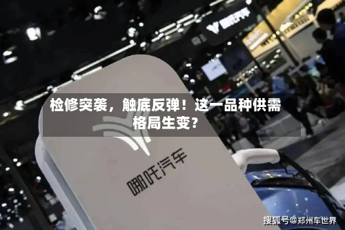 检修突袭，触底反弹！这一品种供需格局生变？-第1张图片