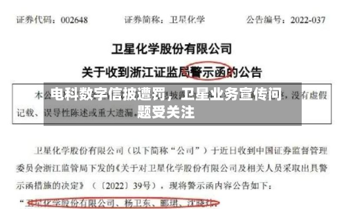 电科数字信披遭罚，卫星业务宣传问题受关注-第2张图片