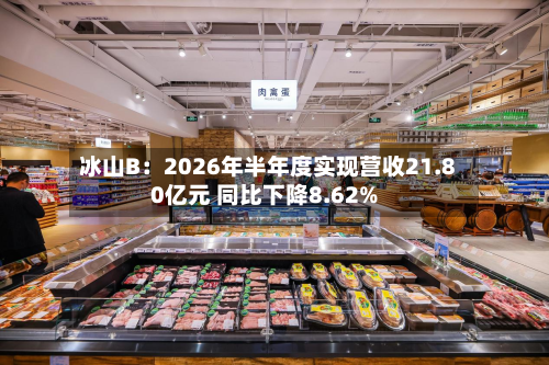 冰山B：2026年半年度实现营收21.80亿元 同比下降8.62%-第2张图片