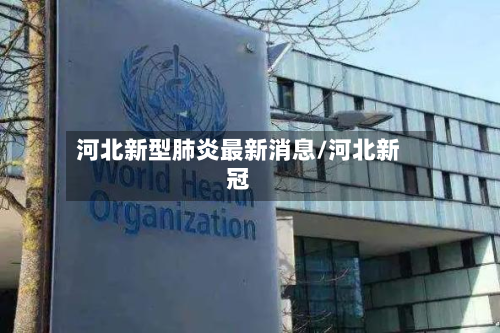 河北新型肺炎最新消息/河北新冠-第3张图片