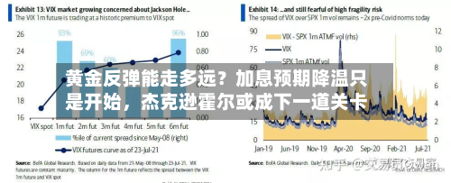黄金反弹能走多远？加息预期降温只是开始，杰克逊霍尔或成下一道关卡-第3张图片