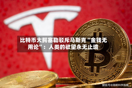 比特币大鳄塞勒驳斥马斯克“金钱无用论	”：人类的欲望永无止境-第2张图片