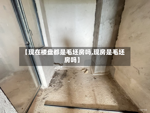 【现在楼盘都是毛坯房吗,现房是毛坯房吗】-第2张图片