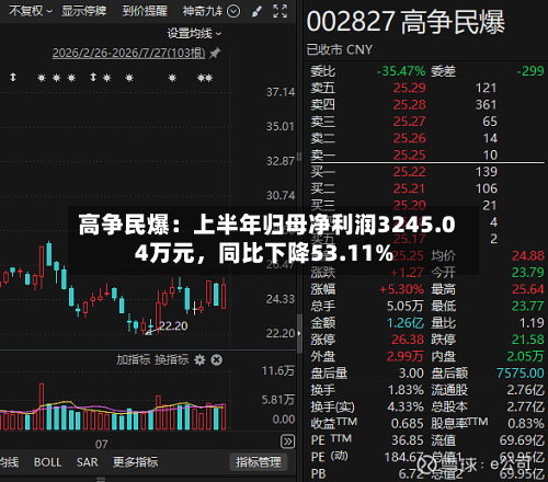 高争民爆：上半年归母净利润3245.04万元，同比下降53.11%-第2张图片