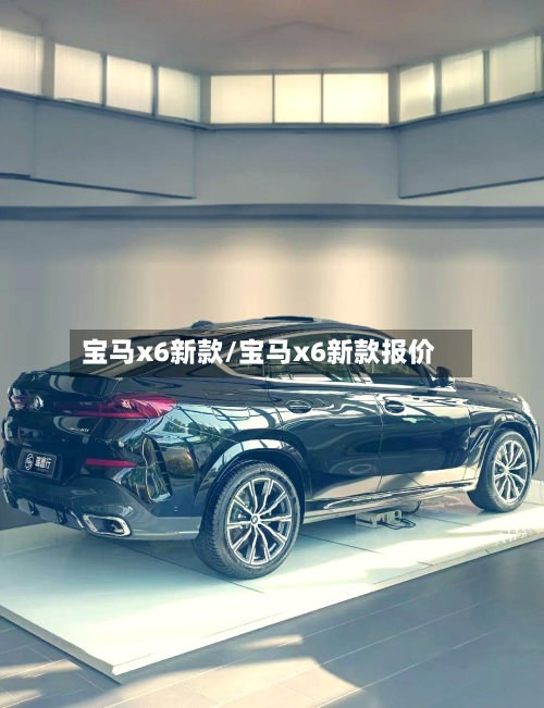 宝马x6新款/宝马x6新款报价-第2张图片