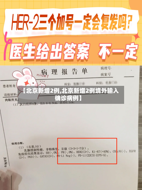 【北京新增2例,北京新增2例境外输入确诊病例】-第2张图片