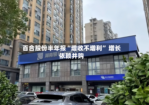 百合股份半年报“增收不增利” 增长依赖并购-第2张图片
