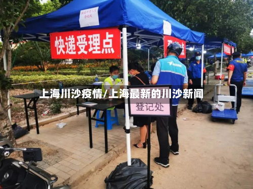 上海川沙疫情/上海最新的川沙新闻-第3张图片