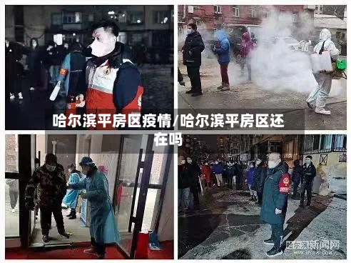 哈尔滨平房区疫情/哈尔滨平房区还在吗-第2张图片