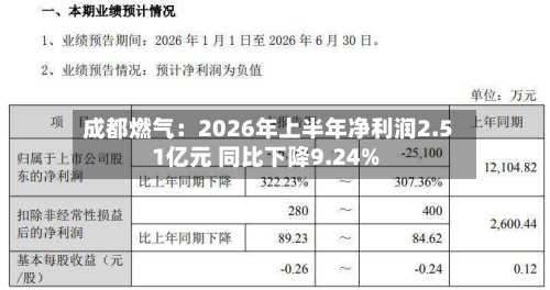 成都燃气:2026年上半年净利润2.51亿元 同比下降9.24%-第2张图片