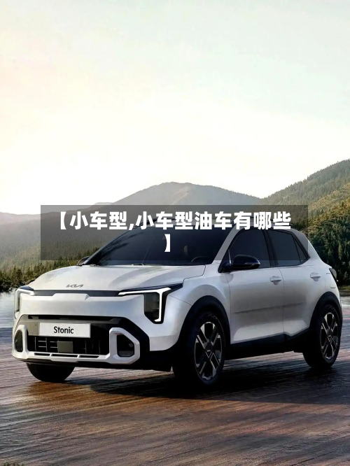 【小车型,小车型油车有哪些】-第2张图片