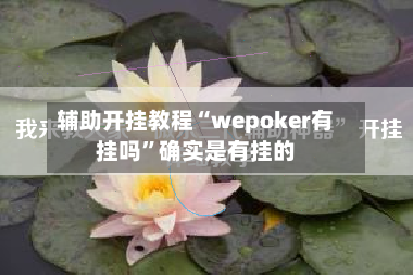 辅助开挂教程“wepoker有挂吗	”确实是有挂的-第2张图片