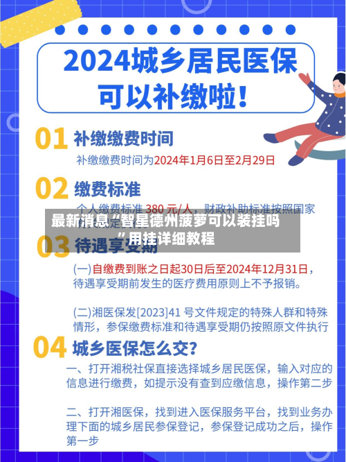 最新消息“智星德州菠萝可以装挂吗”用挂详细教程-第2张图片