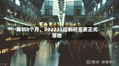 筹划8个月	，002235控制权变更正式落地-第2张图片