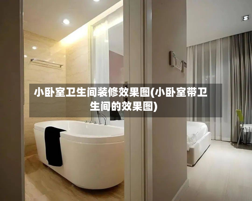 小卧室卫生间装修效果图(小卧室带卫生间的效果图)