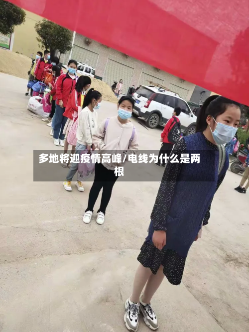 多地将迎疫情高峰/电线为什么是两根-第2张图片