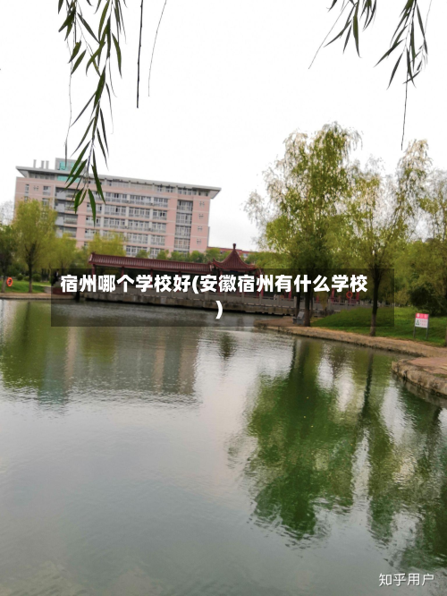 宿州哪个学校好(安徽宿州有什么学校)