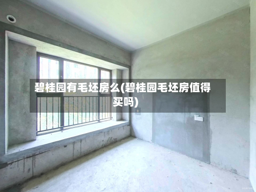 碧桂园有毛坯房么(碧桂园毛坯房值得买吗)