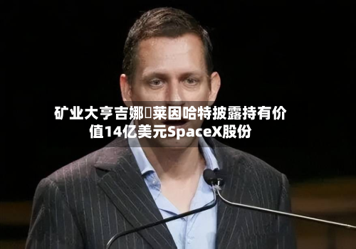 矿业大亨吉娜・莱因哈特披露持有价值14亿美元SpaceX股份-第1张图片