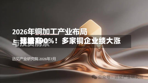 比较高
预增190%!多家铜企业绩大涨-第2张图片