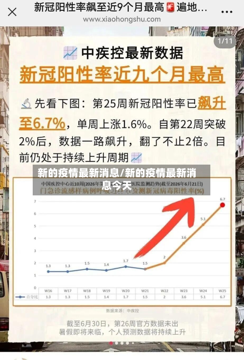 新的疫情最新消息/新的疫情最新消息今天-第2张图片