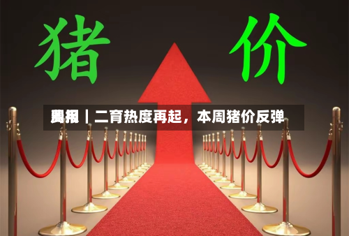 费用周报｜二育热度再起，本周猪价反弹-第2张图片