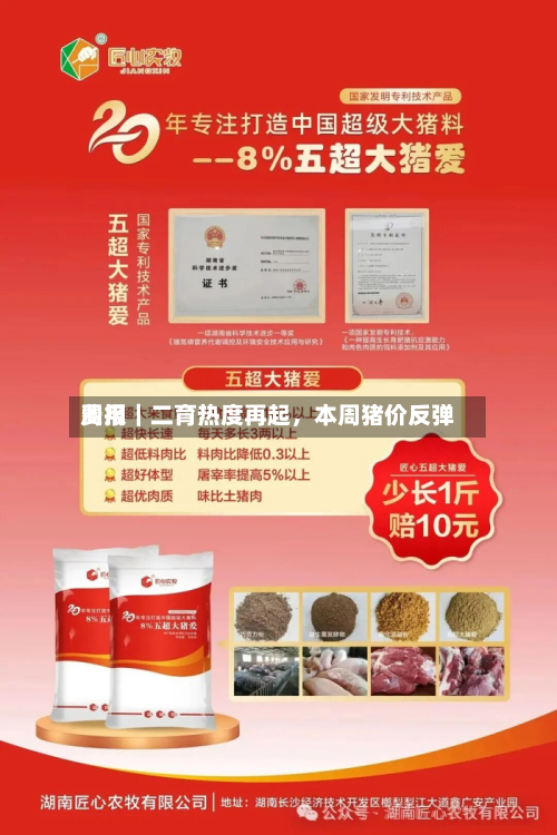 费用周报｜二育热度再起，本周猪价反弹