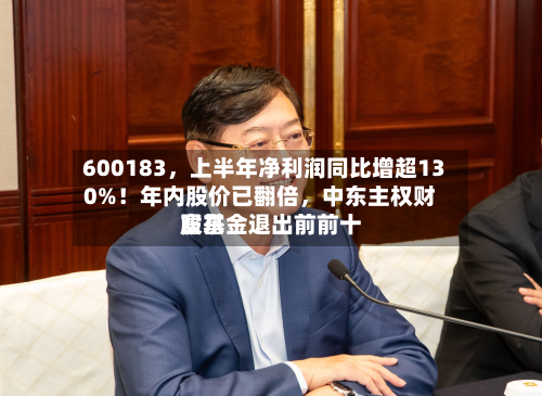 600183，上半年净利润同比增超130%！年内股价已翻倍，中东主权财富基金退出前前十股东-第3张图片