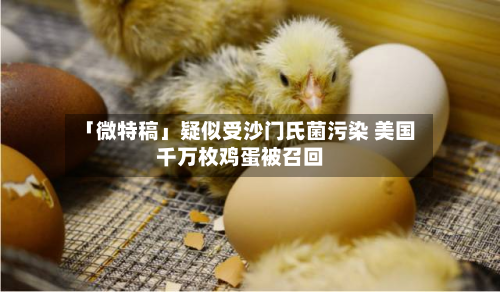 「微特稿」疑似受沙门氏菌污染 美国千万枚鸡蛋被召回-第1张图片