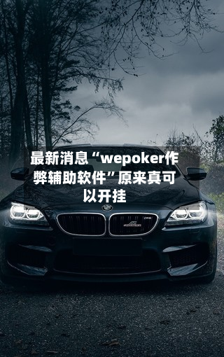 最新消息“wepoker作弊辅助软件”原来真可以开挂-第2张图片