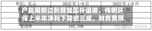 产能局部过剩叠加国补退坡	，伟明环保上半年净利下降逾三成，财务费用同比激增-第2张图片